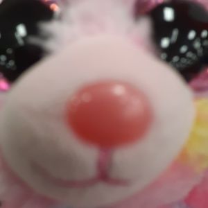 Meet your Posher, Ro